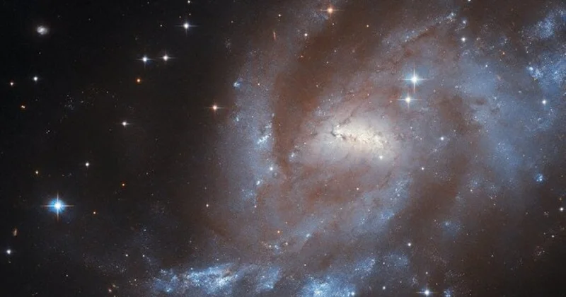 Гороскоп на вторник 11 ноября: день ясности и верных решений