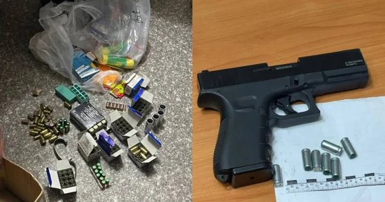 Факты незаконного хранения оружия выявили полицейские в Костанайской области