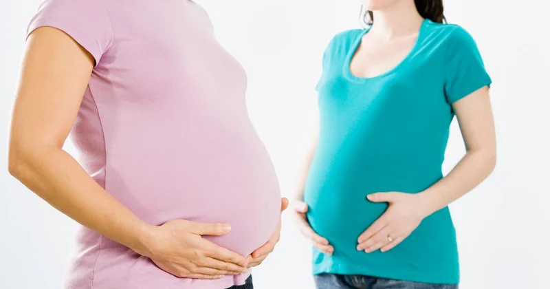 217 млн тенге в виде соцвыплат беременным ушли в одни руки в Шымкенте