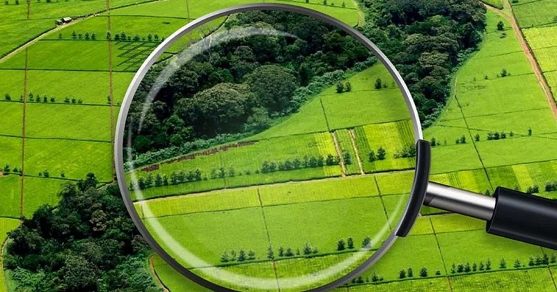 В Казахстане досрочно вернули государству 2 млн гектаров неиспользуемых земель