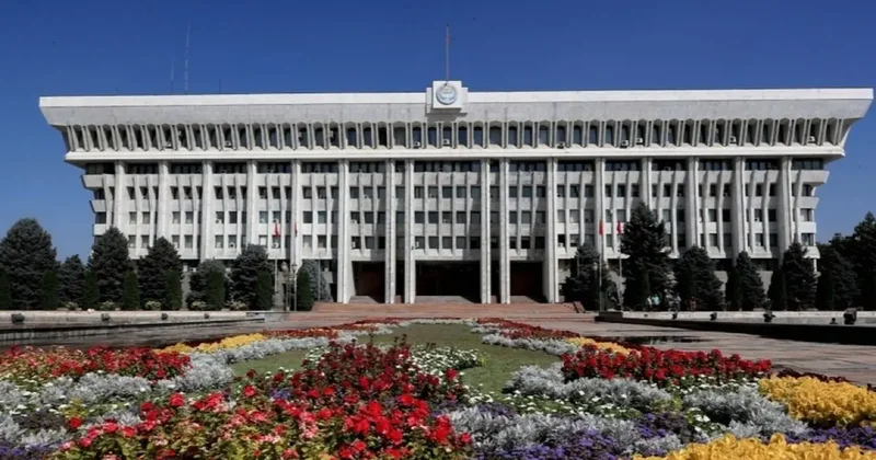 Қырғызстанда мемлекеттік қызметшілерге әлеуметтік желіде лайк басуға тыйым салынды