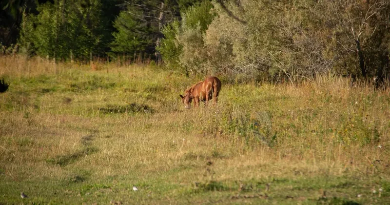 План по возврату земель досрочно выполнили в Казахстане в этом году