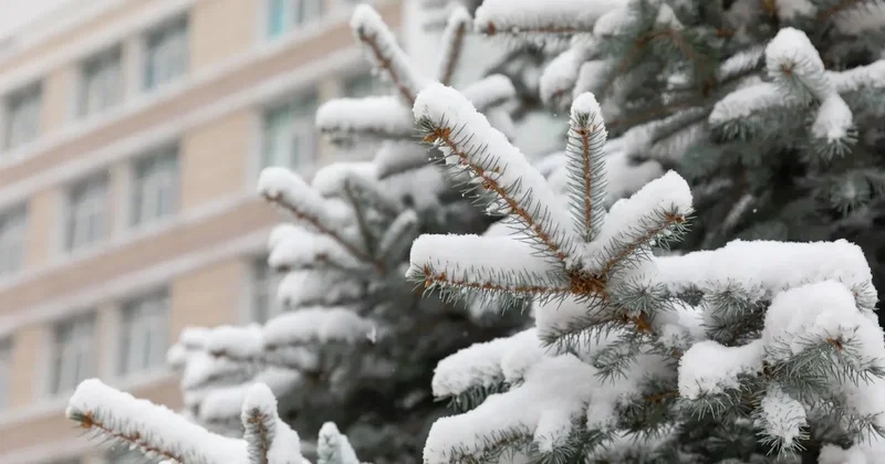 Снег, метель и гололёд: какая погода ждёт казахстанцев в ближайшие три дня