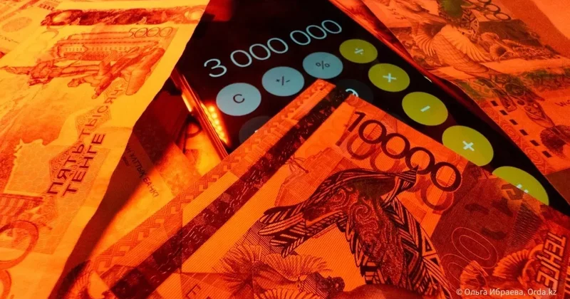 Деньги из бюджета не доходят до соцработников Тараза: Мы год работаем бесплатно