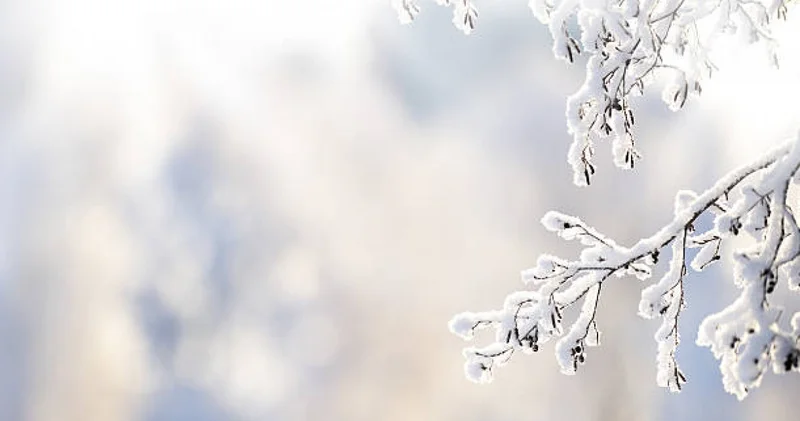 Қазгидромет тұман, боран, көктайғақ болатынын ескертті