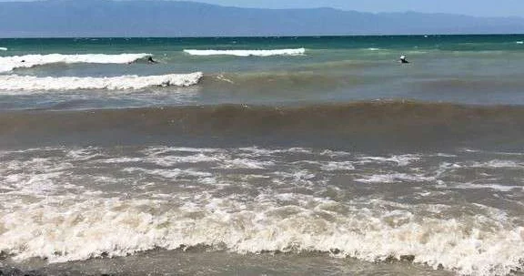 На Алаколе построят защитную дамбу