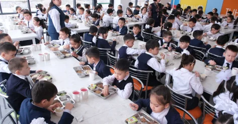 Депутат вступилась за поставщиков школьного питания