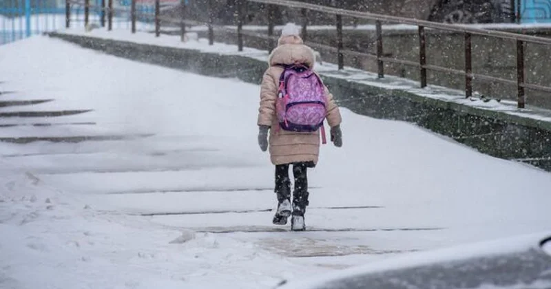 Астанада екінші ауысымның бастауыш сынып оқушылары онлайн оқиды