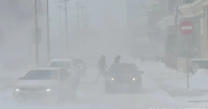 Қар, боран және тұман: 15 өңірде ескерту жарияланды