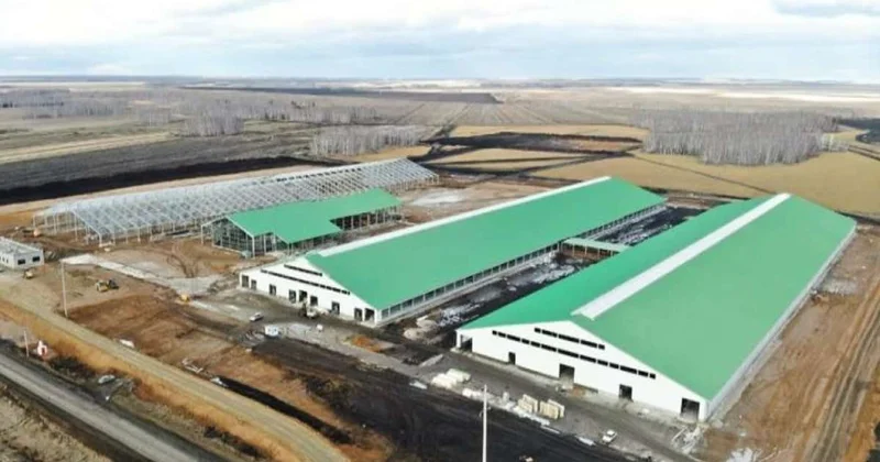 В тройке лидеров