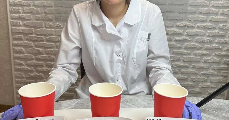 Миллионы деревьев из семян