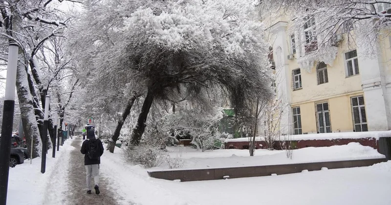 Алматы засыпало снегом: в акимате рассказали о последствиях снегопада
