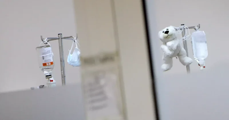 Павлодарда оқушылар баланың тілін кеспек болған