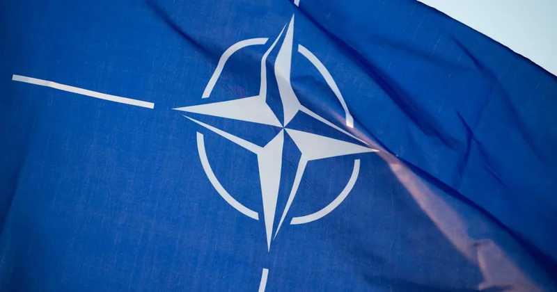 США выходит из НАТО? Законопроект внесли в Конгресс