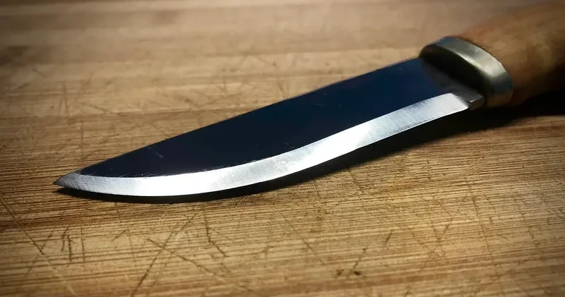 Таразда қатарласын электронды темекі үшін өлтірген мектеп оқушысы сотталды