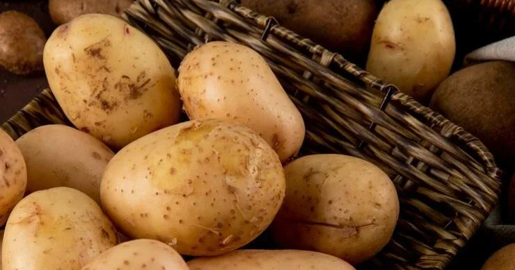 Берлинде 4 млн килограмм картоп тегін таратылады