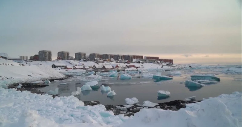 Данияда Гренландия туына сұраныс артты