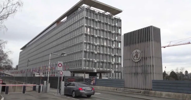 ДДСҰ: Дәрігерлердің қауіпсіздігі күшейтілуі тиіс