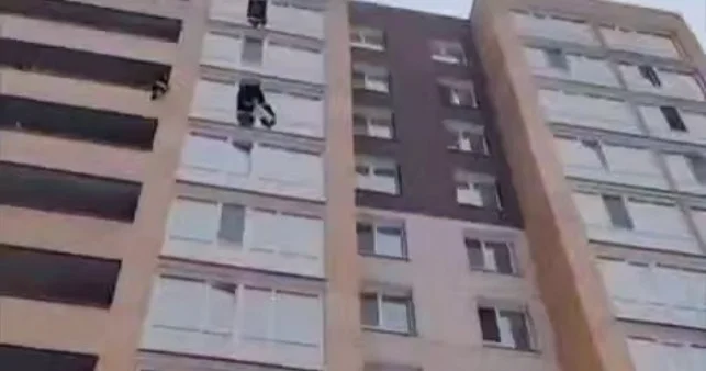 Мамандар альпинистік құралдардың көмегімен балаларды құтқарды