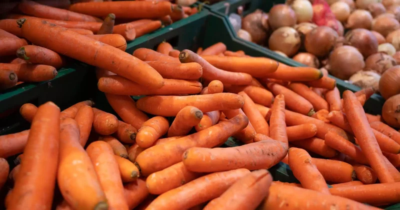 Сәбіз экспортына шектеу енгізіледі: фермерлер неге қарсы шықты