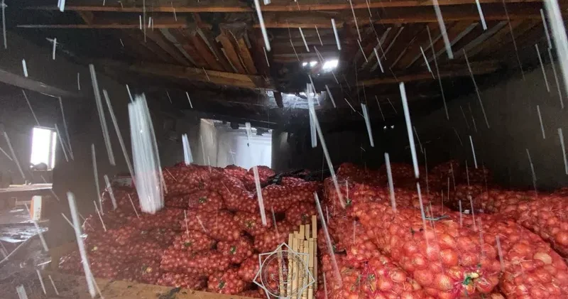 Таразда көкөніс сақтауға арналған қойма өртенді