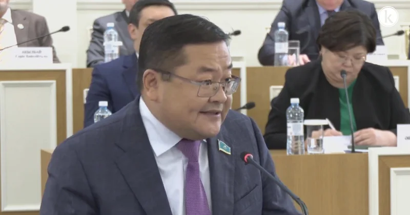 Конституция жобасын референдумға шығару үшін Президент қарауына ұсынуға болады Сарым