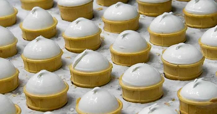 Қазақстан 2025 жылы Ресейден 6 мың тонна балмұздақ сатып алды