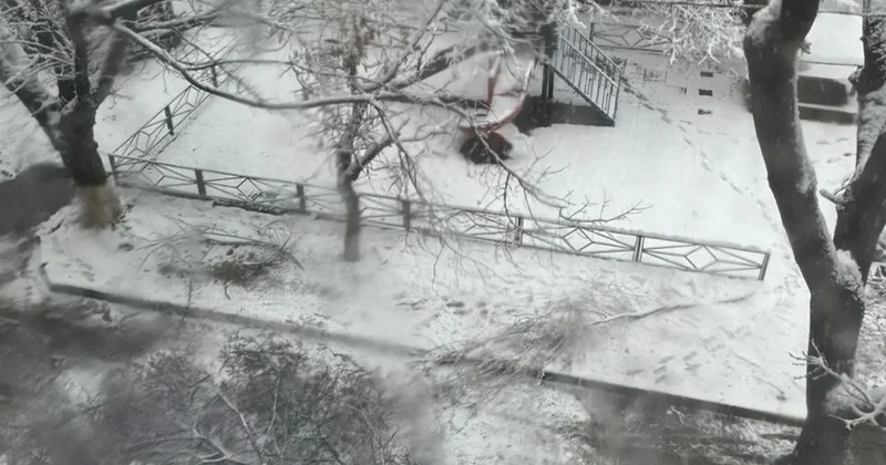 Трагедия из за непогоды в Шымкенте: упавшая ветка дерева насмерть придавила 10 летнего ребёнка