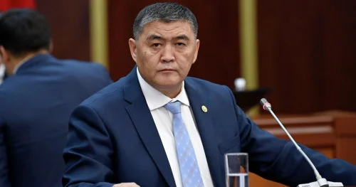 Қамчыбек Ташиев: Қызметтен босатылу мен үшін күтпеген шешім болды