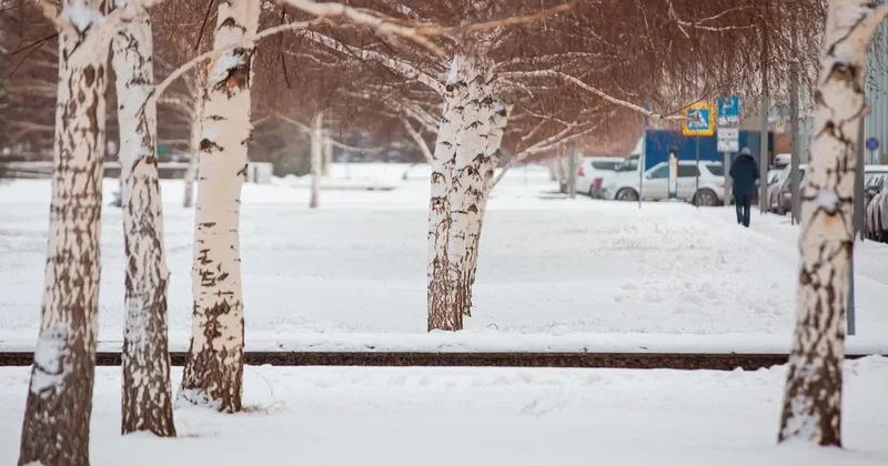 Школьников Астаны перевели на дистанционку из за жуткой погоды