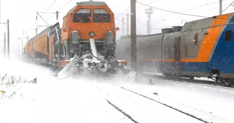 Если стало плохо соседу: инструкция для пассажиров на случай ЧП в поезде