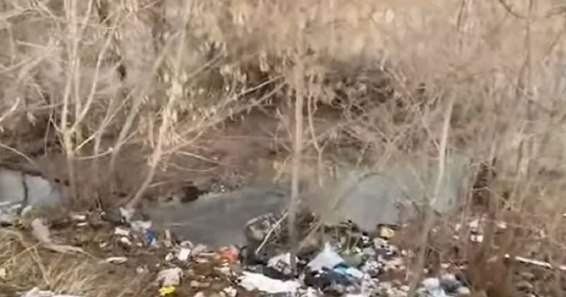 Экологическая катастрофа : более 900 кг рыбы погибло в реке Бадам на юге Казахстана