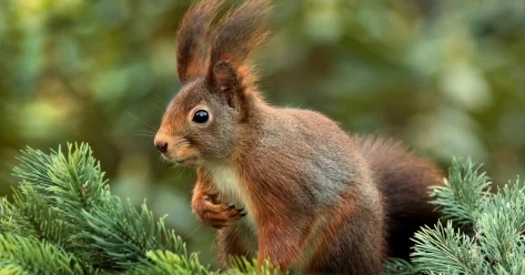 Повышение температуры воздуха ожидается в Казахстане