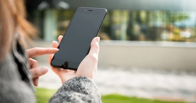 В Минтруда отреагировали на рассылку о выплатах по безработице для матерей