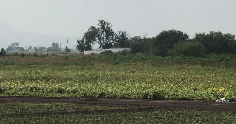 Более 30 идущих под снос участков и домов не станут изымать в Алматы