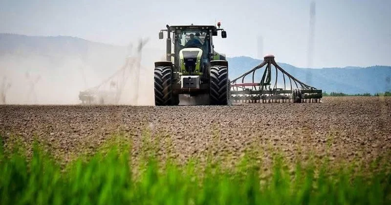 Алматы облысында 437,9 мың гектар жерге ауыл шаруашылығы дақылдары егіледі