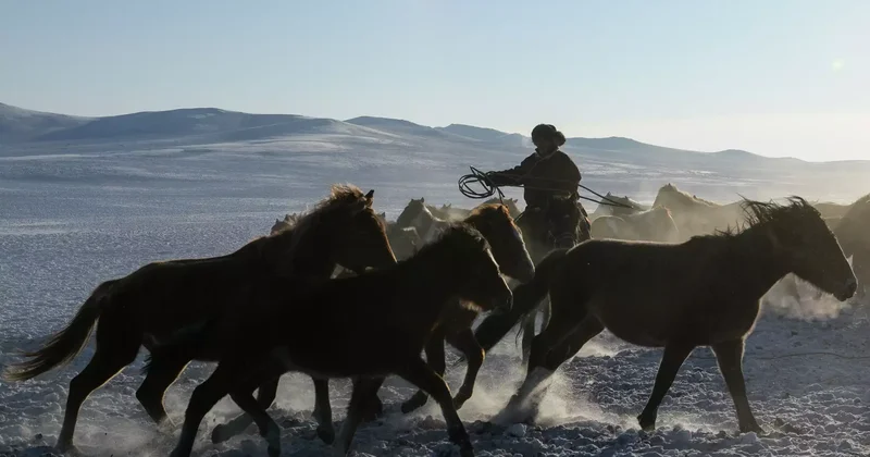Мал іздеуге шыққан: Павлодар облысында ер адам үсіп өлді
