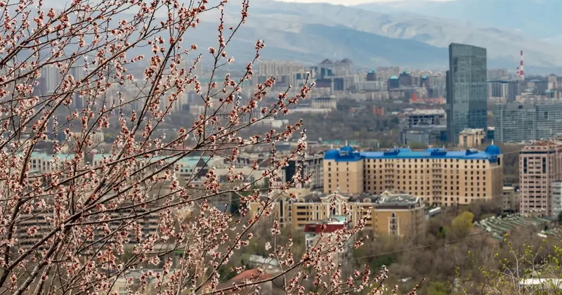 Более 30 земельных участков передумали изымать в Алматы