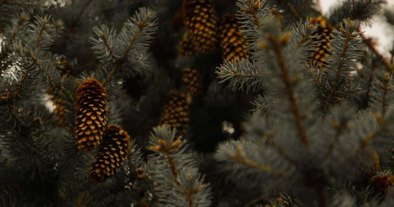 Морозы начнут отступать от Казахстана с 12 марта