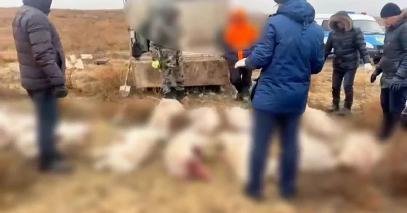 Ақтөбеде киікті заңсыз атып алған браконьерлер ұсталды