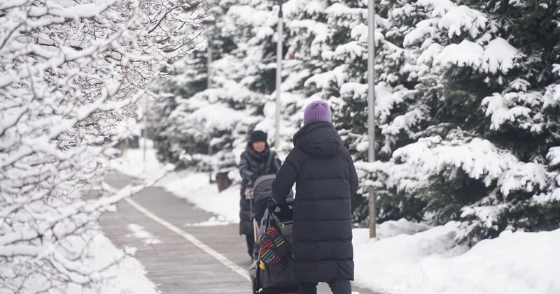 Декретница не безработная