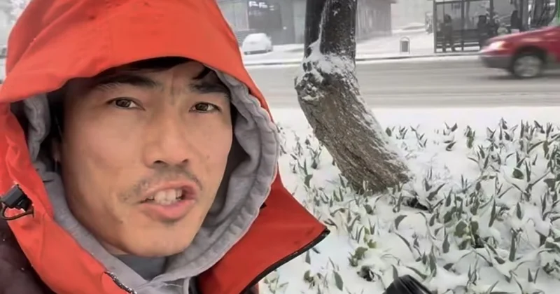 Аномальная погода для Шымкента напугала горожан: снег накрыл цветущие тюльпаны