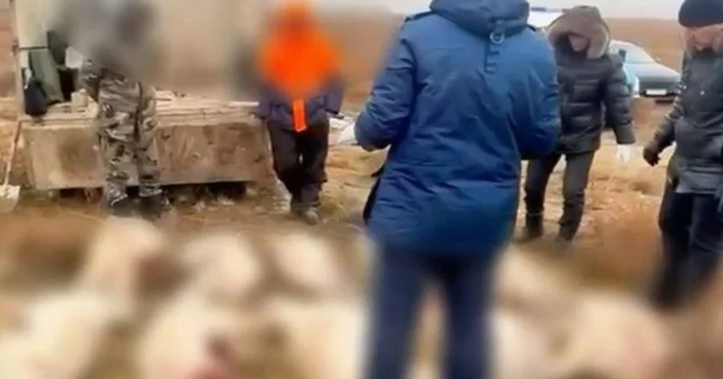 Атырау облысының үш тұрғыны браконьерлікпен ұсталды