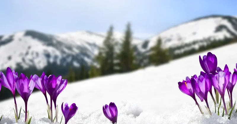 Постепенное потепление прогнозируют синоптики по всему Казахстану