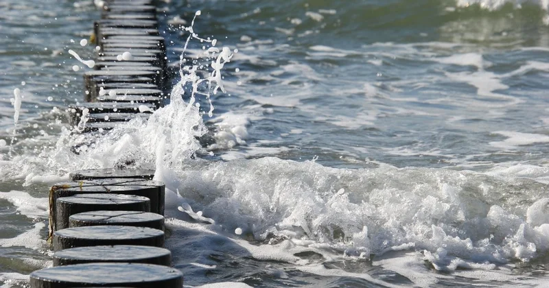 Дайвер из Актау показал дно Каспийского моря (ВИДЕО)