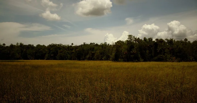 Подмешал яд и убил: маньяка с Алтая задержали спустя 14 лет