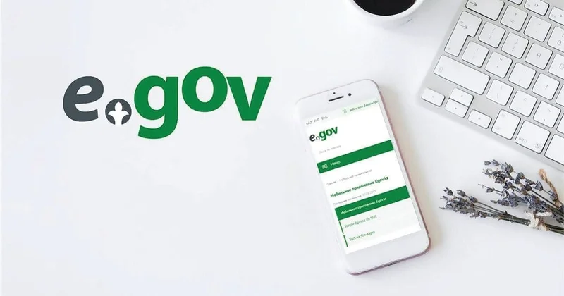 Услугу для трудовых мигрантов убрали из ЦОНов и перевели в eGov