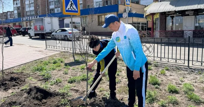 Чем дышит город