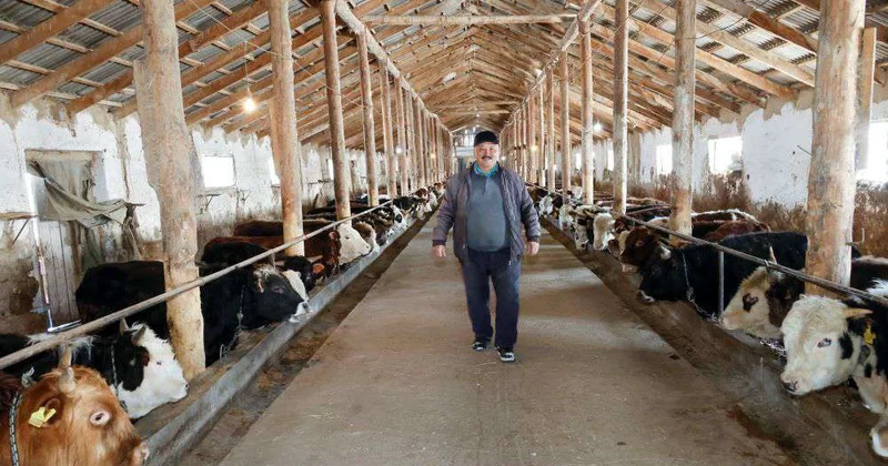 Животноводство не терпит дилетантства