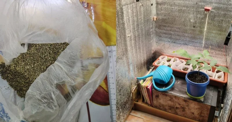 Самодельную фитолабораторию ликвидировали в Акмолинской области